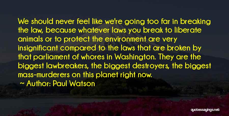 Insignificant Quotes By Paul Watson