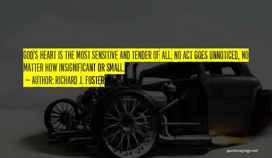 Insignificant Quotes By Richard J. Foster