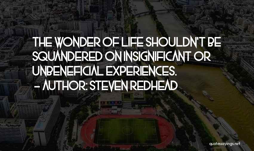 Insignificant Quotes By Steven Redhead