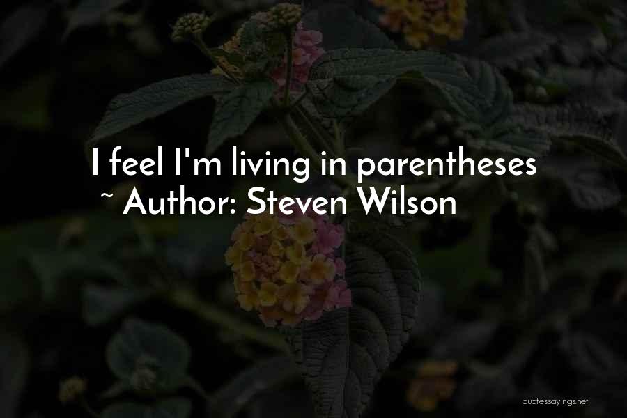 Insignificant Quotes By Steven Wilson
