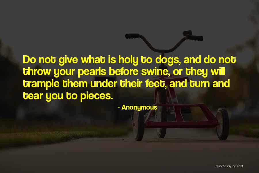 Insignificantly Crossword Quotes By Anonymous Insignificantly Crossword Quotes By Anonymous