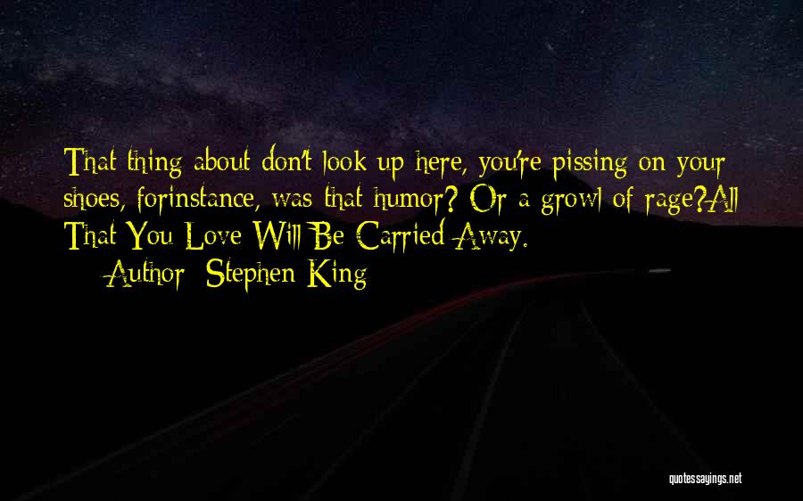 Insincerator Quotes By Stephen King