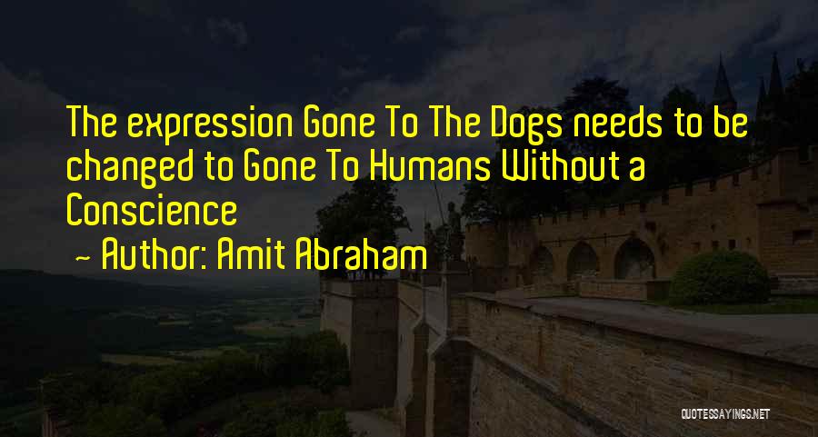 Insincerity Quotes By Amit Abraham