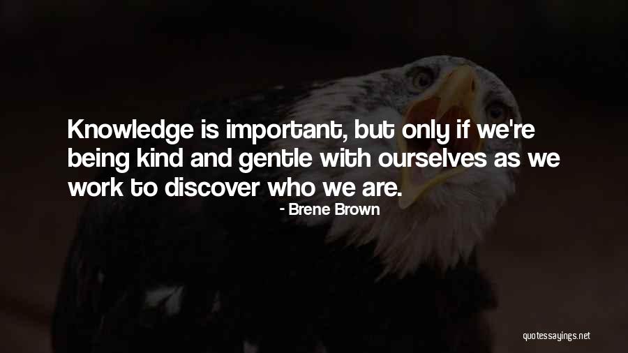 Insipide In English Translation Quotes By Brene Brown Insipide In English Translation Quotes By Brene Brown