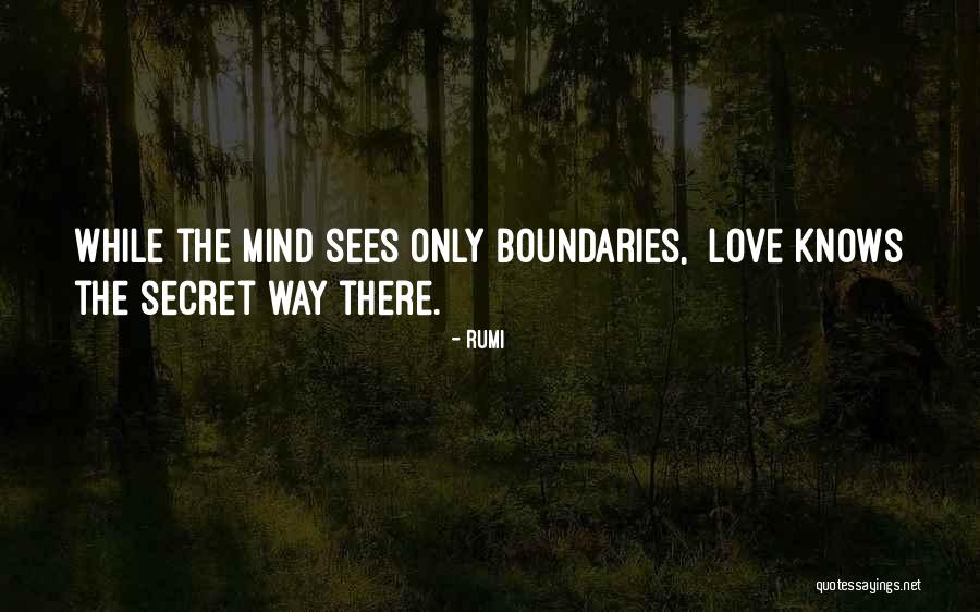 Insipide In English Translation Quotes By Rumi Insipide In English Translation Quotes By Rumi