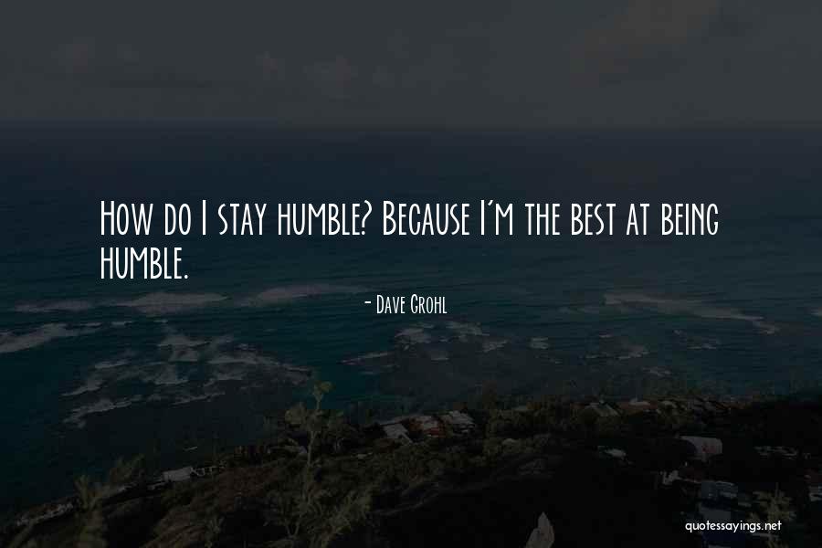 Insipidus In Dogs Quotes By Dave Grohl Insipidus In Dogs Quotes By Dave Grohl