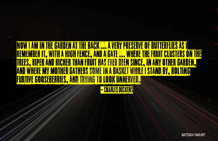 Insomnia Hvh Quotes By Charles Dickens Insomnia Hvh Quotes By Charles Dickens