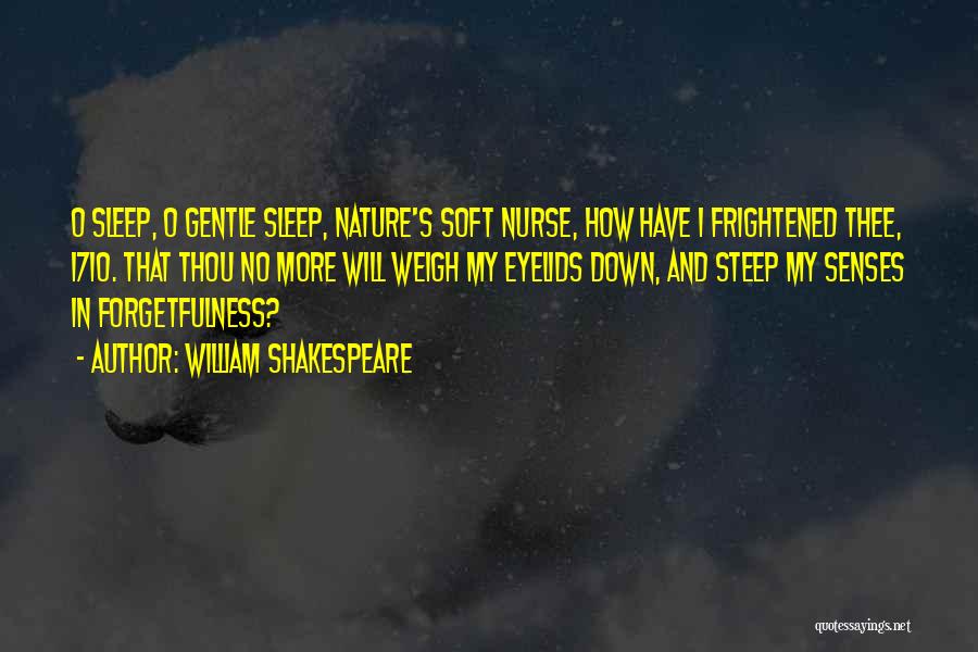 Insomnia Shakespeare Quotes By William Shakespeare