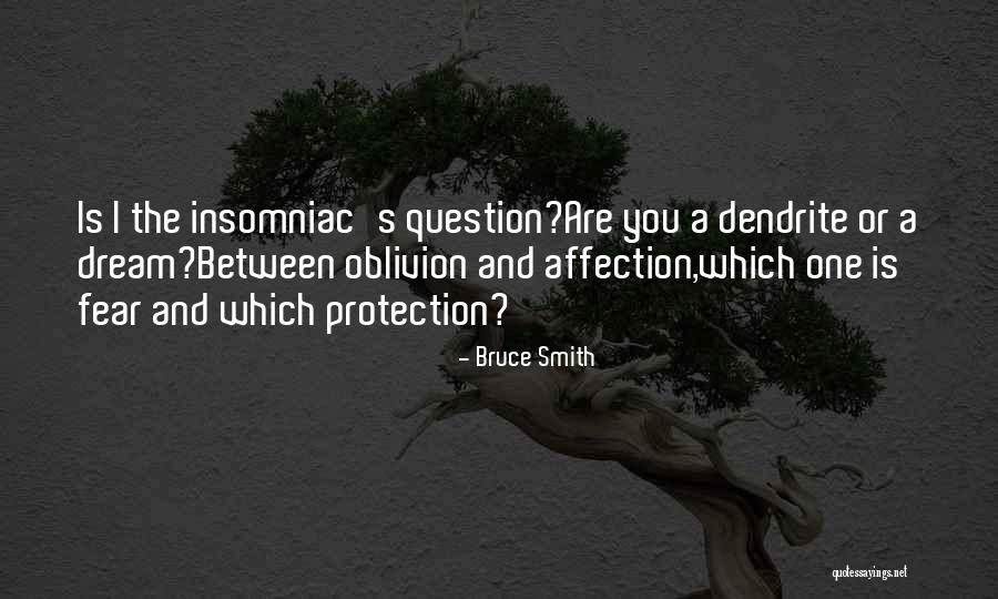 Insomniac Quotes By Bruce Smith