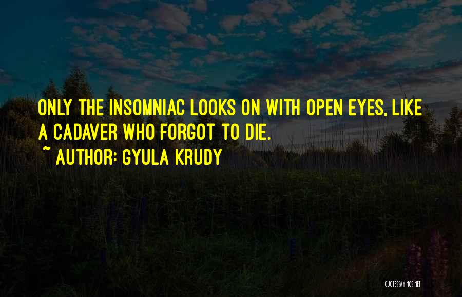 Insomniac Quotes By Gyula Krudy