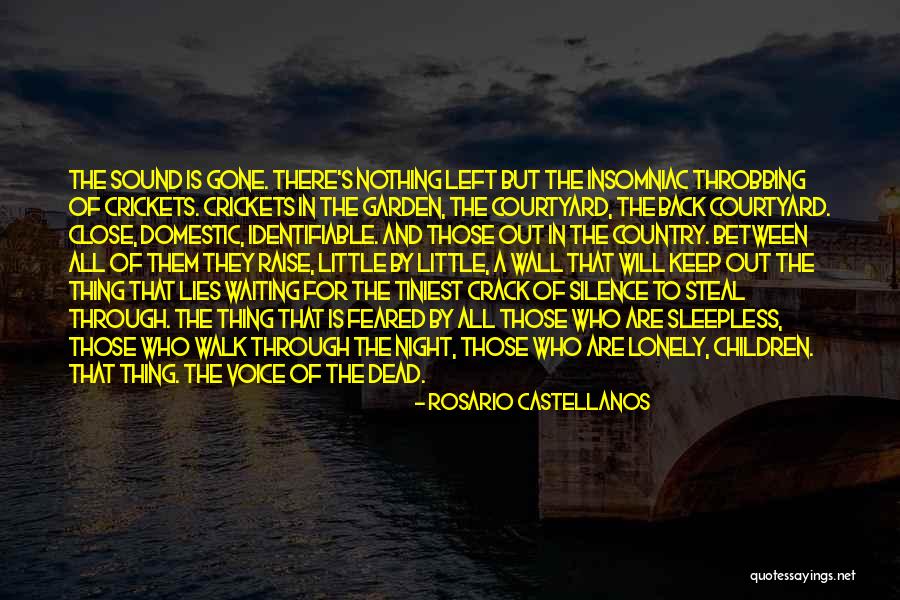 Insomniac Quotes By Rosario Castellanos