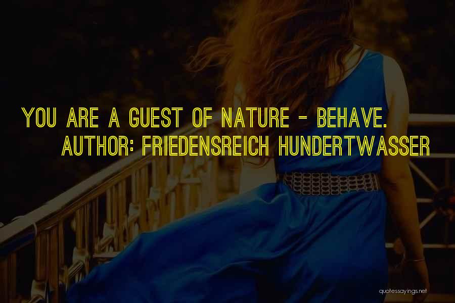 Insomnii Dmc Quotes By Friedensreich Hundertwasser