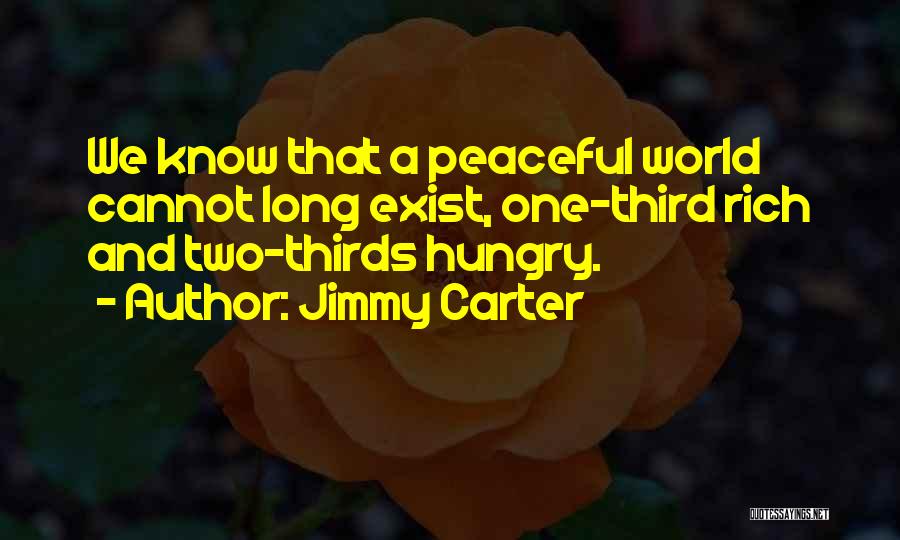 Insomnii Dmc Quotes By Jimmy Carter