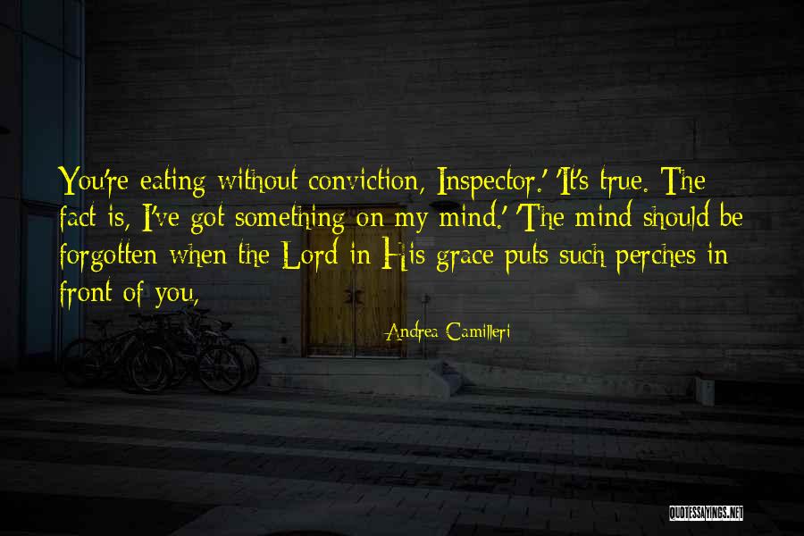 Inspector Me Quotes By Andrea Camilleri Inspector Me Quotes By Andrea Camilleri