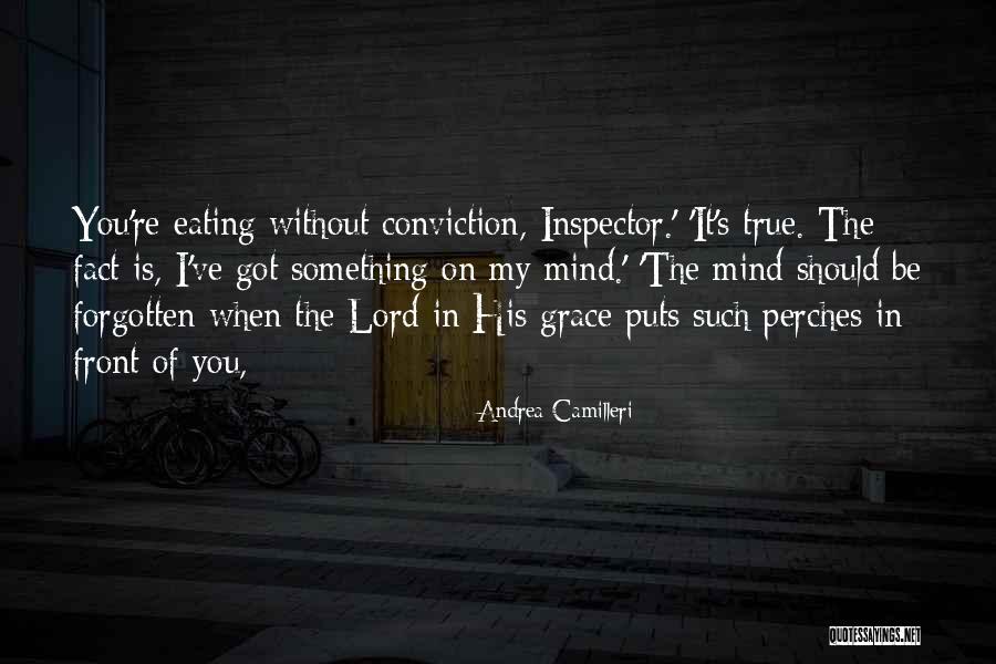 Inspector Quotes By Andrea Camilleri Inspector Quotes By Andrea Camilleri