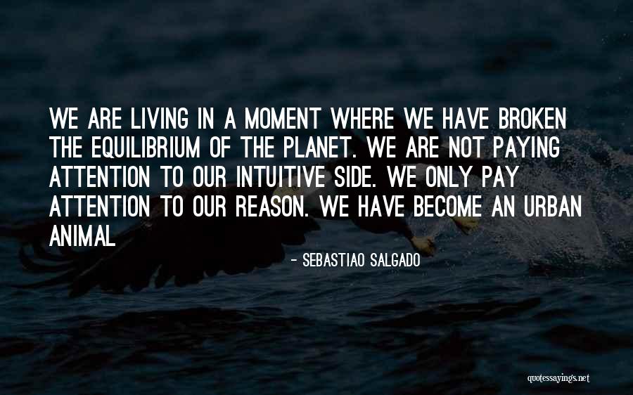 Inspiration In Art Quotes By Sebastiao Salgado Inspiration In Art Quotes By Sebastiao Salgado
