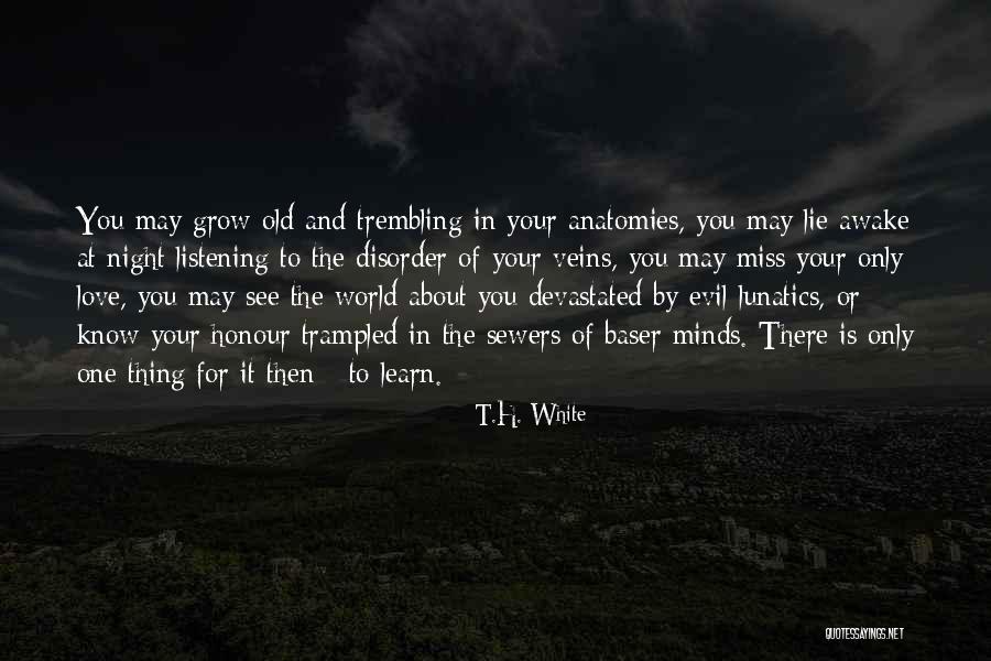 Inspirational About Education Quotes By T.H. White
