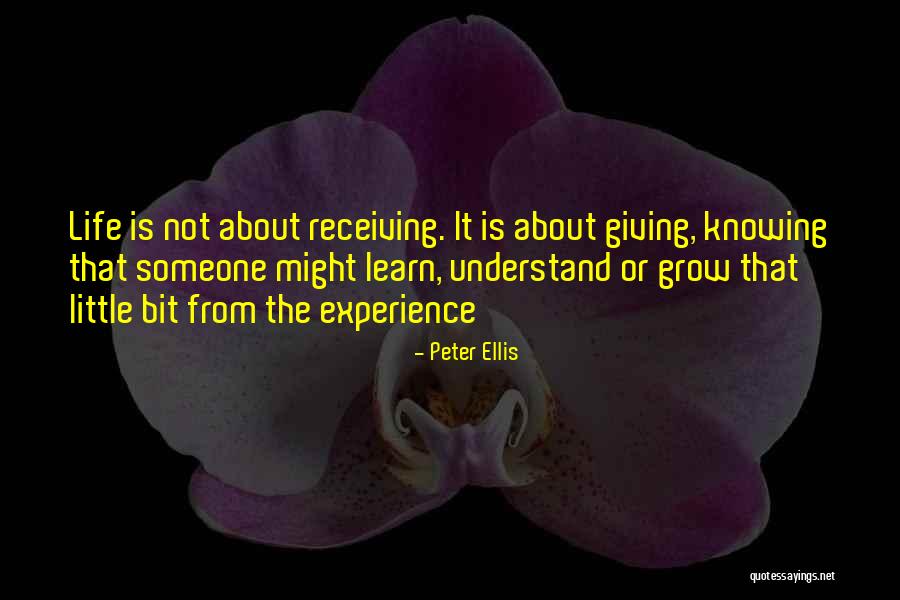 Inspirational About Success Quotes By Peter Ellis