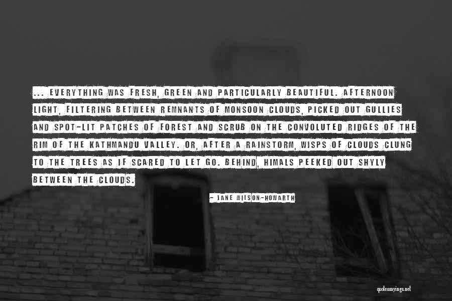 Inspirational Afternoon Quotes By Jane Wilson-Howarth Inspirational Afternoon Quotes By Jane Wilson-Howarth