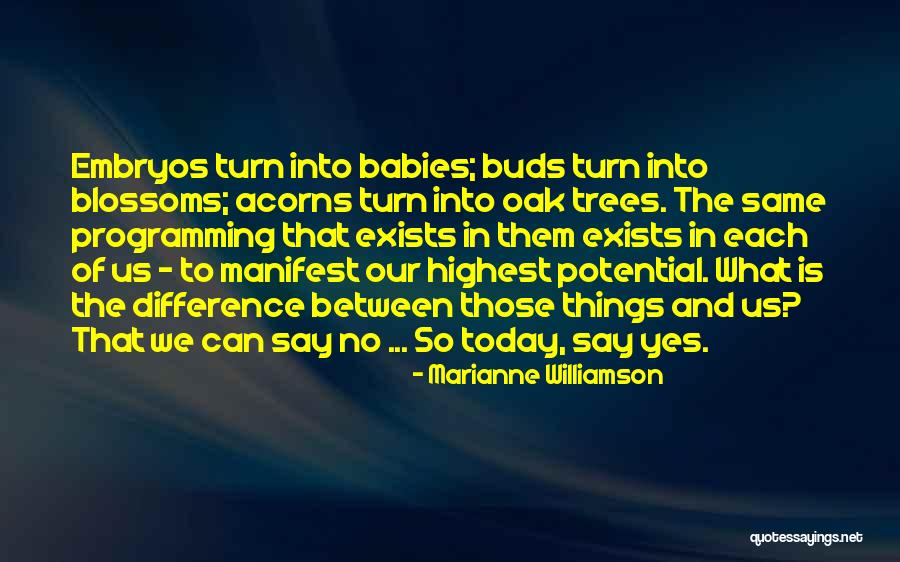 Inspirational Baby Quotes By Marianne Williamson Inspirational Baby Quotes By Marianne Williamson