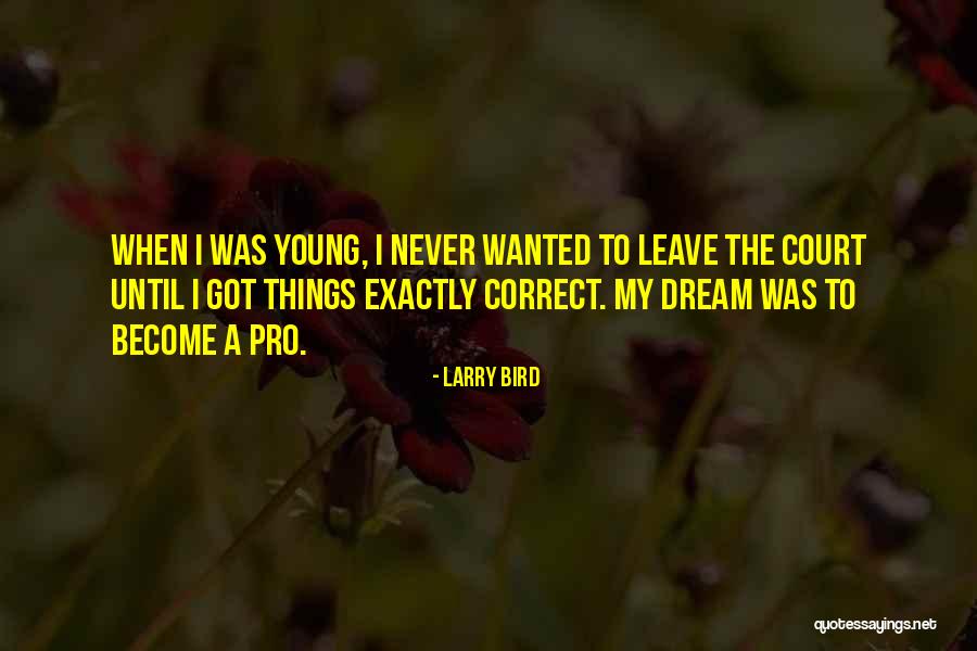 Inspirational Basketball Quotes By Larry Bird Inspirational Basketball Quotes By Larry Bird