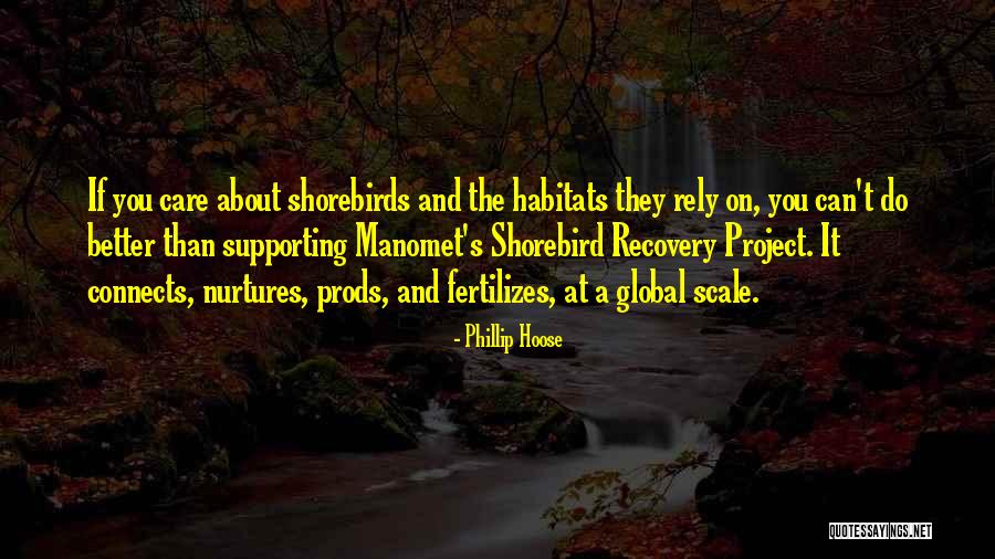 Inspirational Black Belt Quotes By Phillip Hoose Inspirational Black Belt Quotes By Phillip Hoose