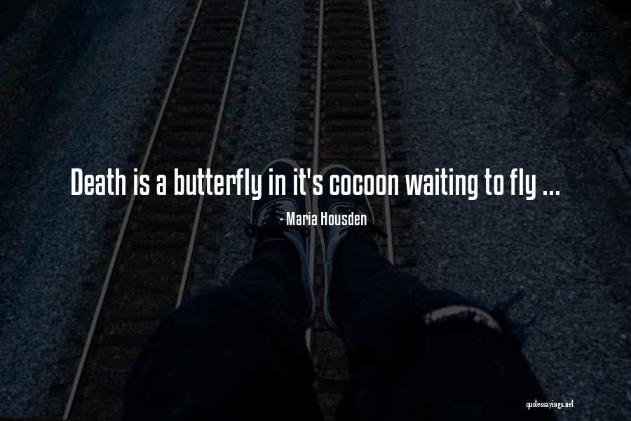 Inspirational Butterfly Quotes By Maria Housden Inspirational Butterfly Quotes By Maria Housden