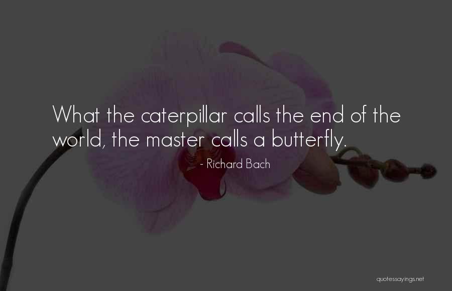Inspirational Butterfly Quotes By Richard Bach Inspirational Butterfly Quotes By Richard Bach