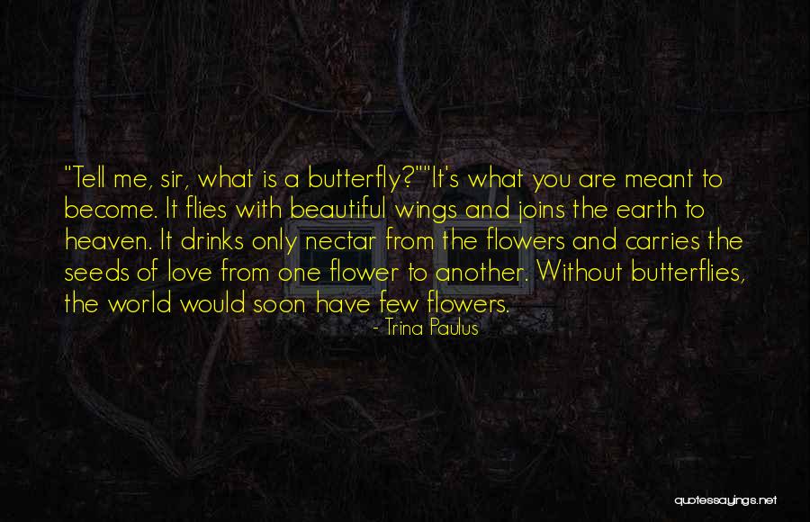 Inspirational Butterfly Quotes By Trina Paulus Inspirational Butterfly Quotes By Trina Paulus