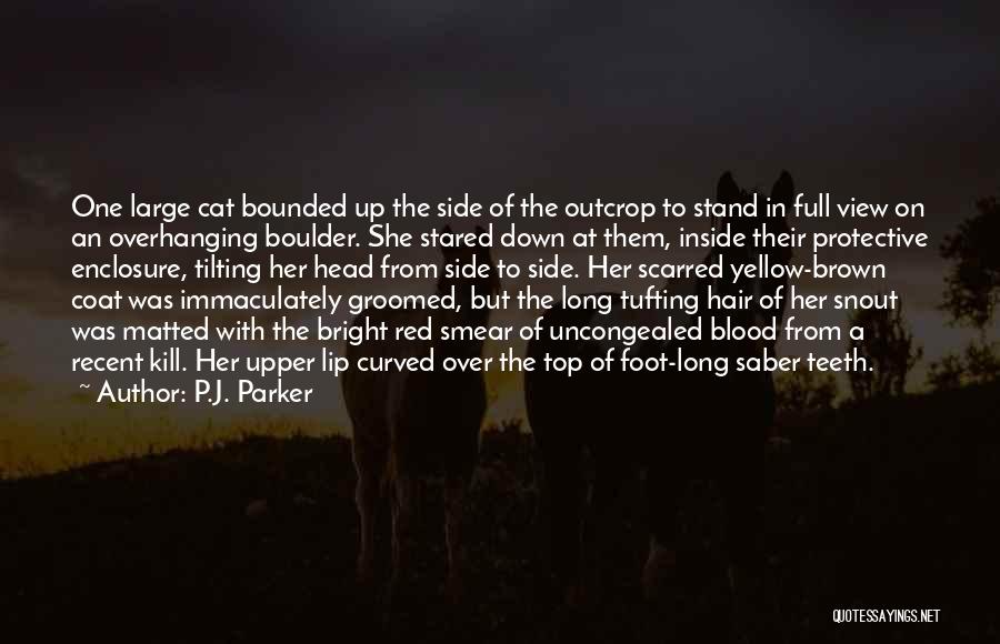 Inspirational Cat Quotes By P.J. Parker