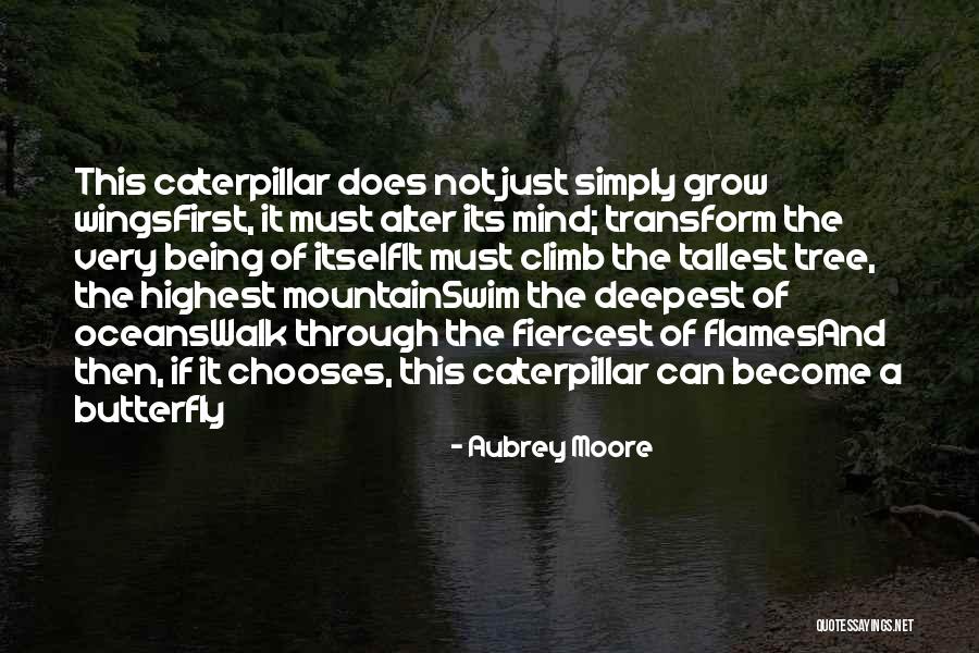 Inspirational Caterpillar Quotes By Aubrey Moore Inspirational Caterpillar Quotes By Aubrey Moore