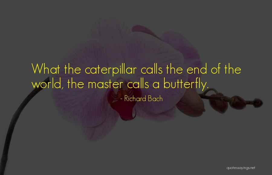 Inspirational Caterpillar Quotes By Richard Bach Inspirational Caterpillar Quotes By Richard Bach