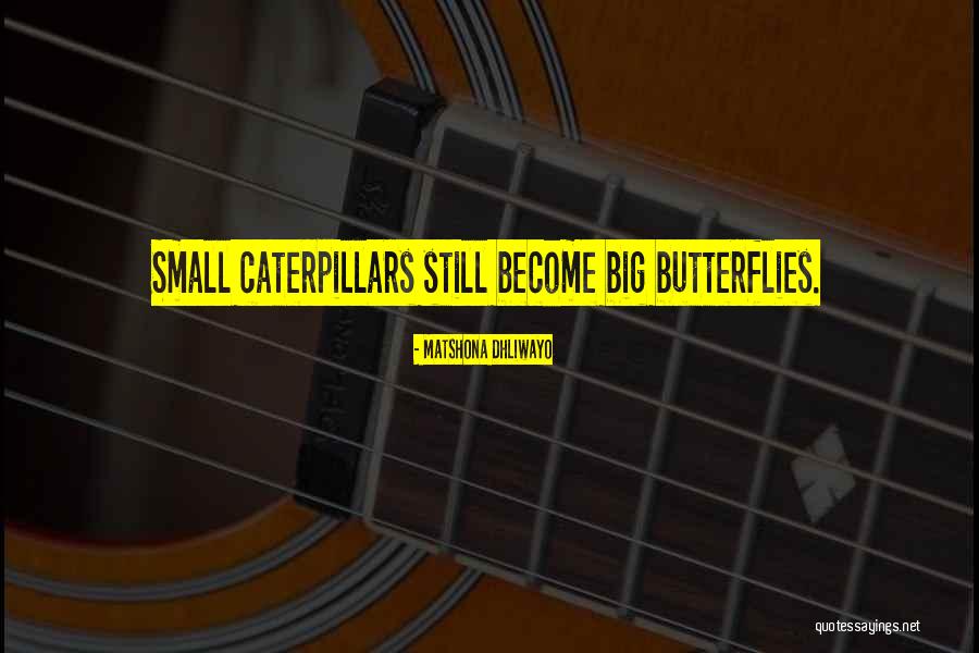 Inspirational Caterpillars Quotes By Matshona Dhliwayo Inspirational Caterpillars Quotes By Matshona Dhliwayo