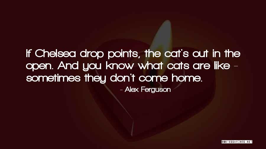 Inspirational Cats Quotes By Alex Ferguson