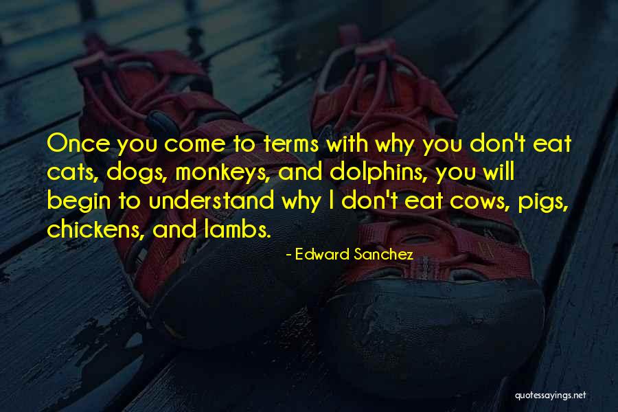 Inspirational Cats Quotes By Edward Sanchez