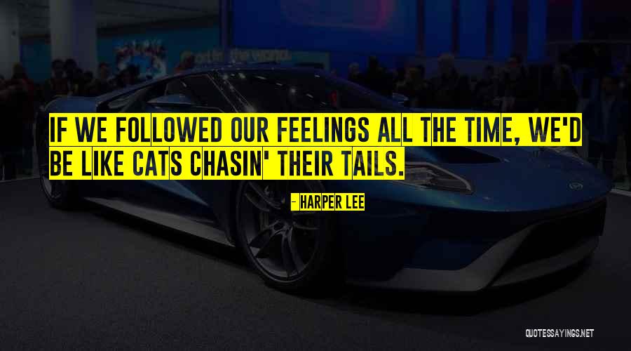 Inspirational Cats Quotes By Harper Lee