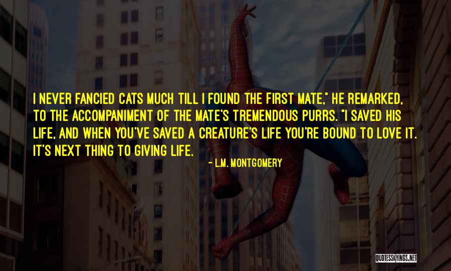 Inspirational Cats Quotes By L.M. Montgomery