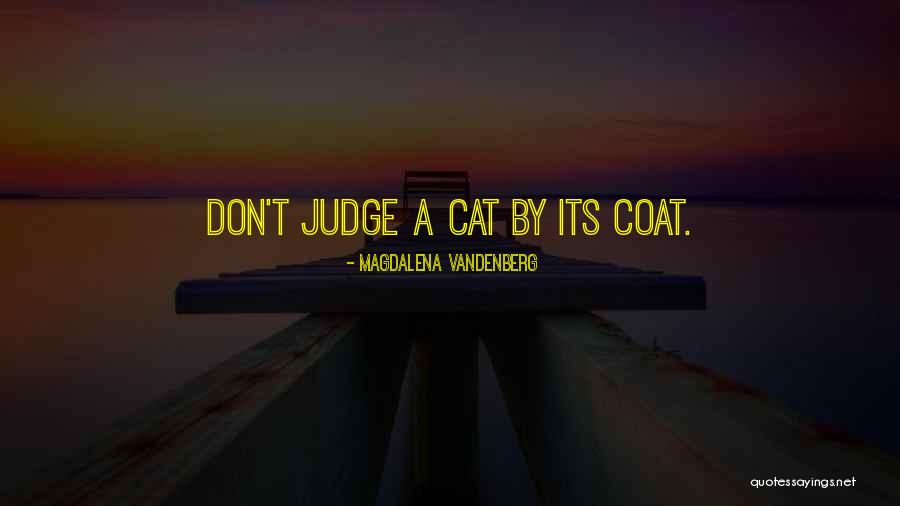 Inspirational Cats Quotes By Magdalena VandenBerg