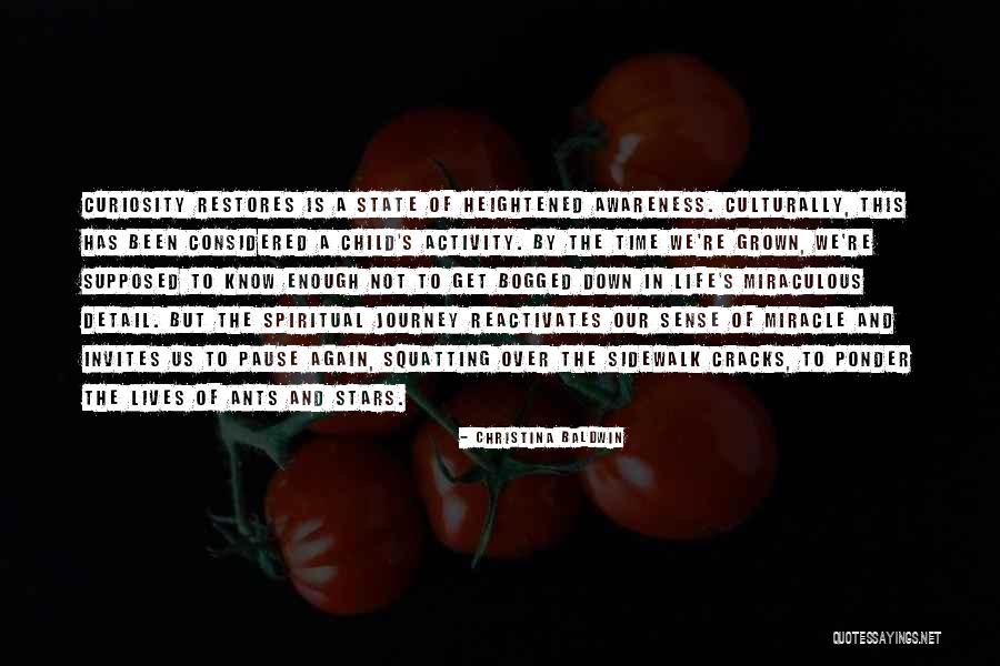 Inspirational Cracks Quotes By Christina Baldwin Inspirational Cracks Quotes By Christina Baldwin