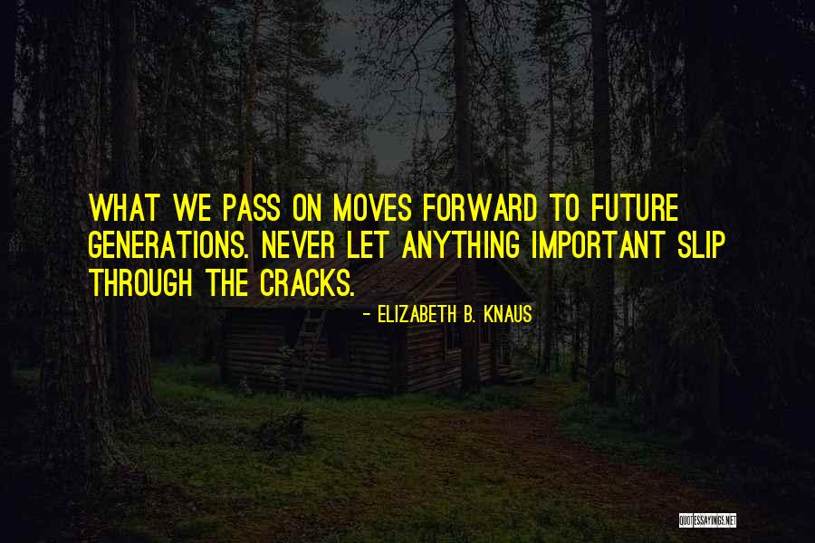 Inspirational Cracks Quotes By Elizabeth B. Knaus Inspirational Cracks Quotes By Elizabeth B. Knaus