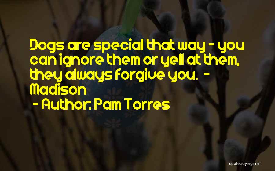 Inspirational Dogs Quotes By Pam Torres