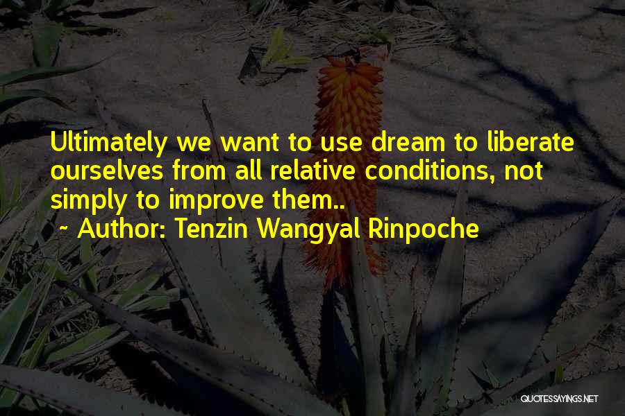 Inspirational Dream Life Quotes By Tenzin Wangyal Rinpoche