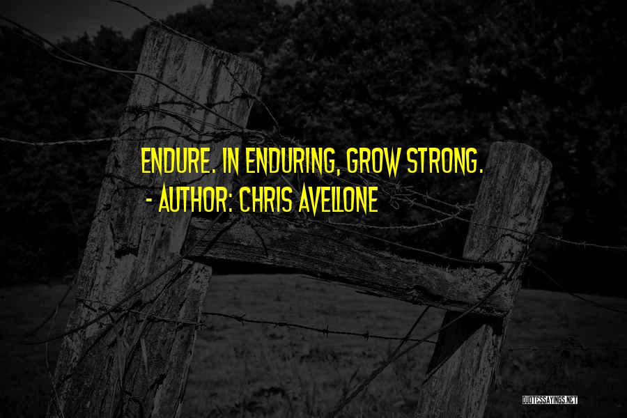 Inspirational Enduring Quotes By Chris Avellone