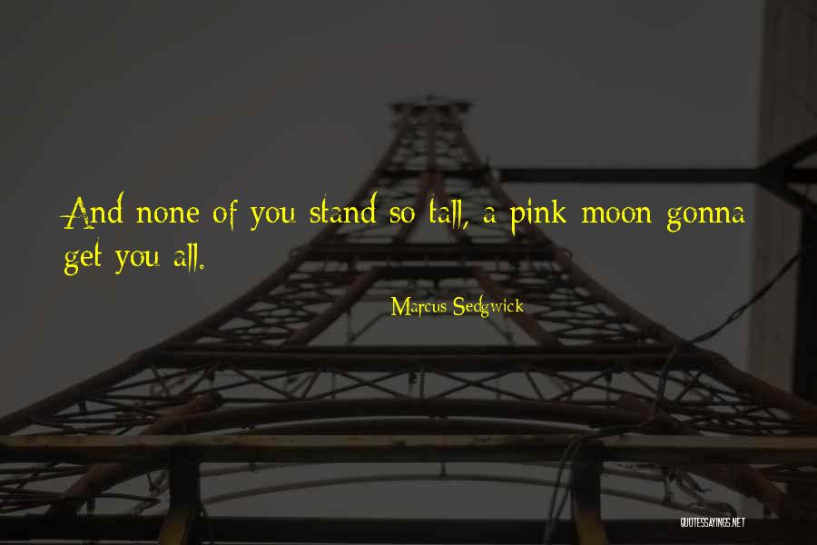 Inspirational Equine Quotes By Marcus Sedgwick Inspirational Equine Quotes By Marcus Sedgwick