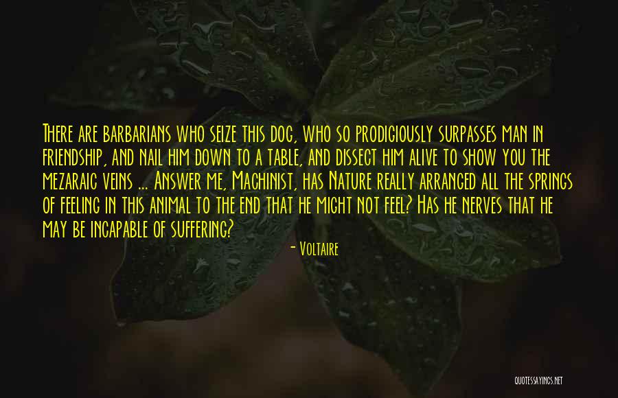 Inspirational Friendship Quotes By Voltaire Inspirational Friendship Quotes By Voltaire