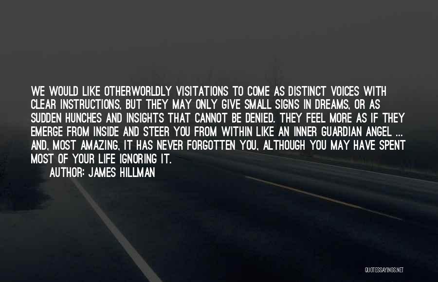 Inspirational Guardian Quotes By James Hillman