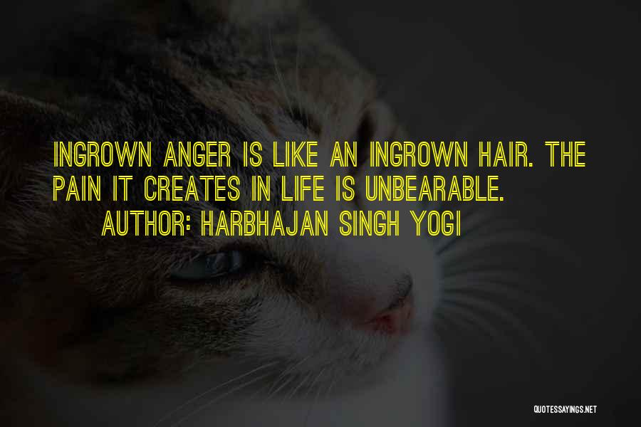 Inspirational Hair Quotes By Harbhajan Singh Yogi