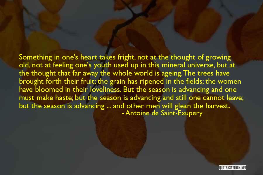 Inspirational Harvest Quotes By Antoine De Saint-Exupery Inspirational Harvest Quotes By Antoine De Saint-Exupery