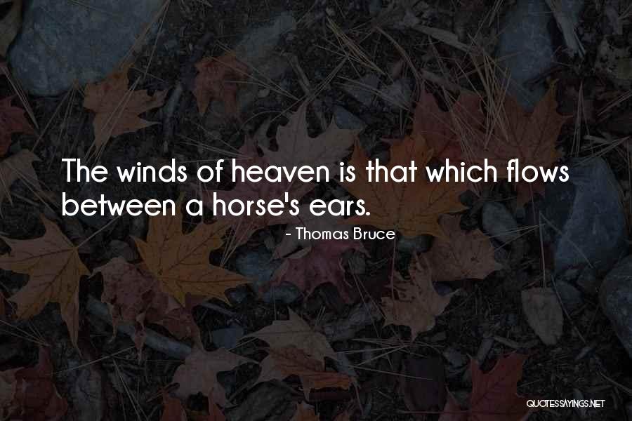 Inspirational Horse Quotes By Thomas Bruce Inspirational Horse Quotes By Thomas Bruce