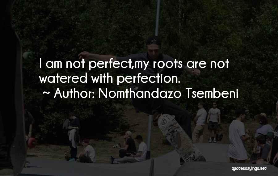 Inspirational I'm Not Perfect Quotes By Nomthandazo Tsembeni